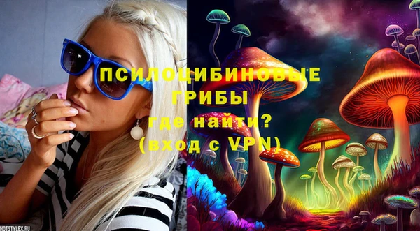 прущий лед Заводоуковск