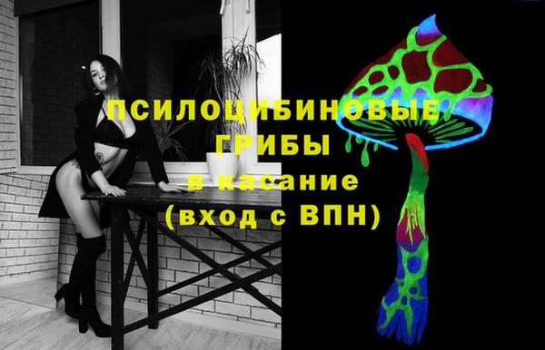 прущий лед Заводоуковск