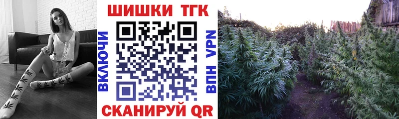 Бошки марихуана марихуана  Купить закладки  Нефтеюганск 
